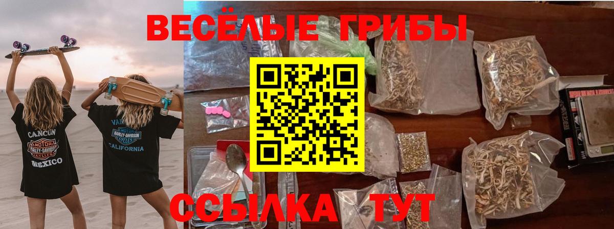 Галлюциногенные грибы GOLDEN TEACHER Южно-Сахалинск